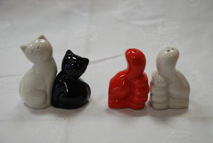 Salière poivrière en porcelaine